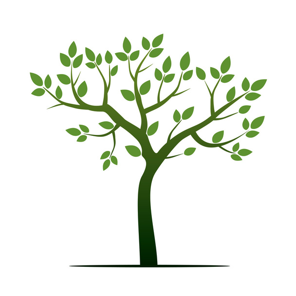 Green Tree. Vector Illustration. - ベクター画像