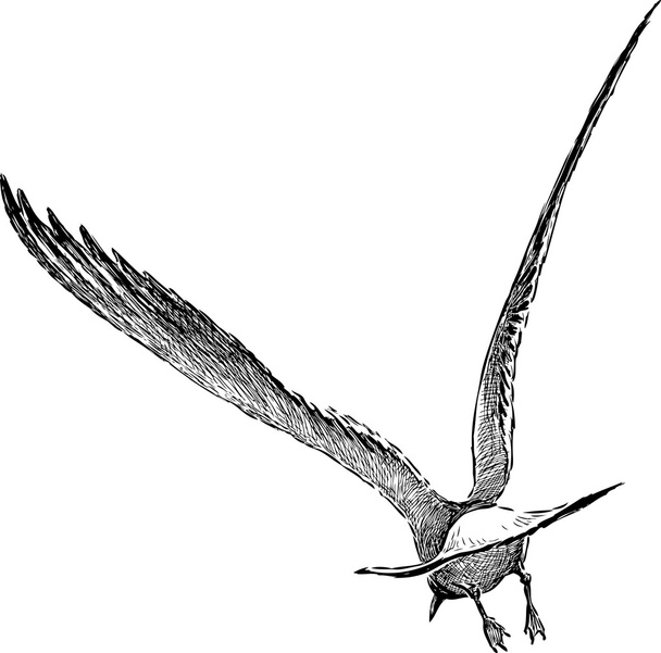 seagull flies away - Вектор,изображение