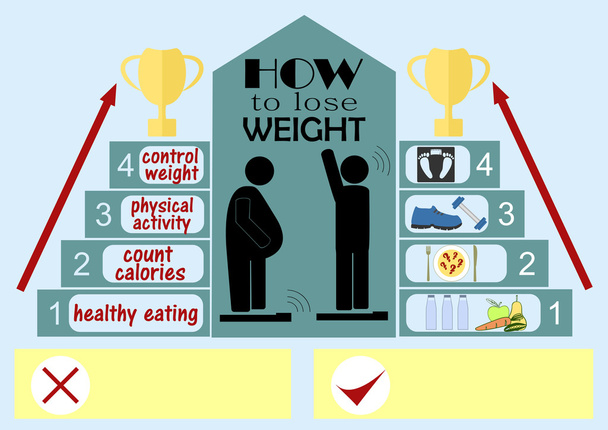 Infographics on the topic of how to lose weight, depicting a fat man and a person of normal weight - Vector, Image