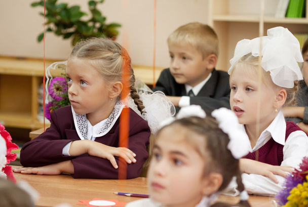 Schoolchildren in their first lesson - Fotografie, Obrázek