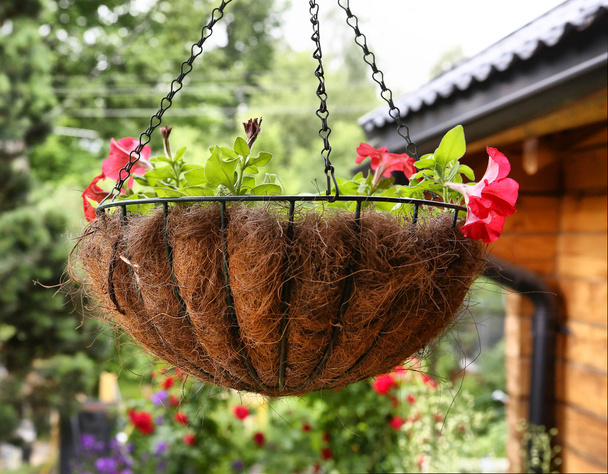 плетений вішаний квітковий кошик крупним планом фото
 - Фото, зображення