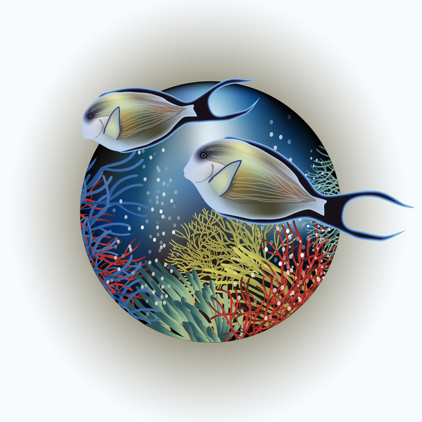 Underwater card with surgeon-fish, vector illustration - Vettoriali, immagini