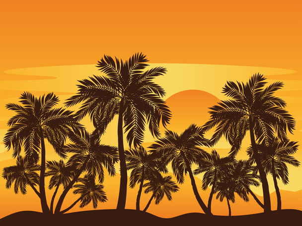 Palm Tree at Sunset - Vetor, Imagem