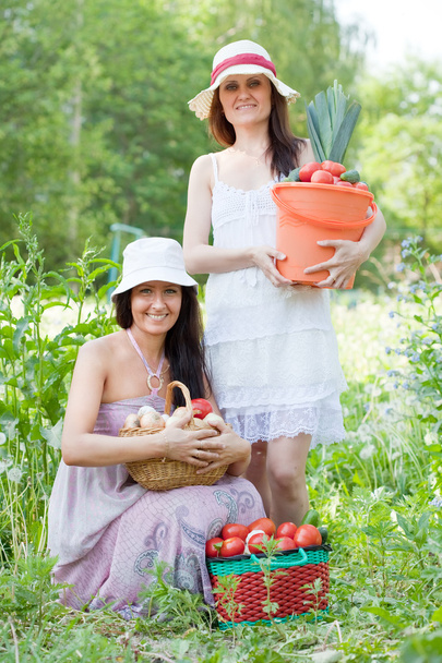 Happy women with harvested vegetables - Foto, afbeelding