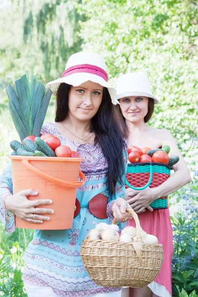 Women with vegetables in garden - Foto, afbeelding