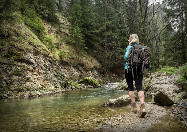 Woman hiking in mountains - Fotoğraf, Görsel
