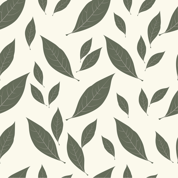 Background laurel leaves. Condiment food pattern - Vetor, Imagem