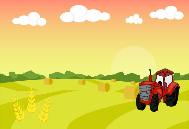 Farm traktor köteg. A betakarítás. Mezőgazdasági táj illusztráció. A mező a búza háttér. Farm sunrise háttér. Vektoros illusztráció - Vektor, kép