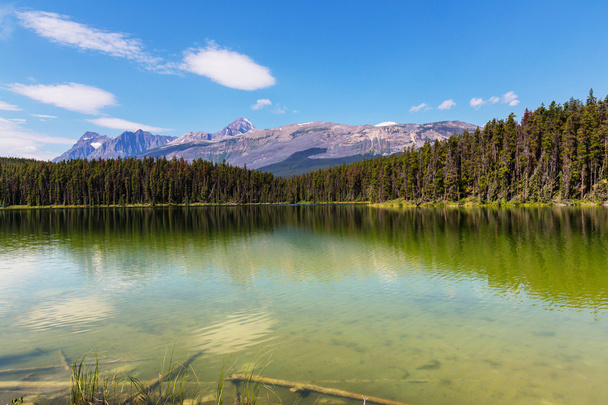 Lago pitoresco em Canadá
 - Foto, Imagem