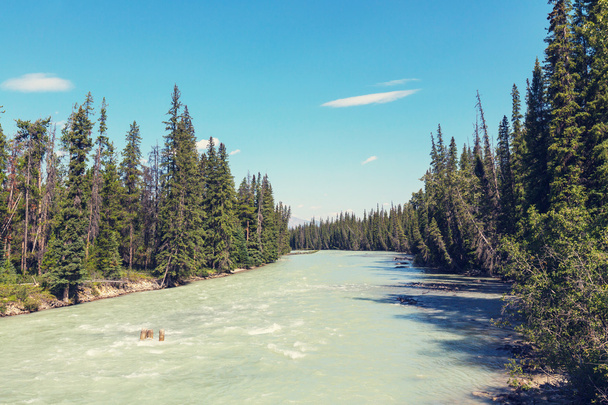 athabasca fluss in kanada - Foto, Bild