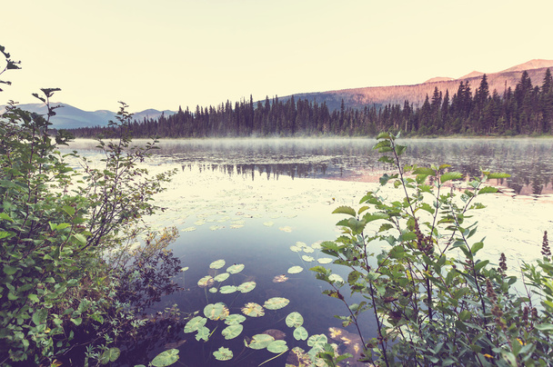 Picturesque järvi Kanadassa
 - Valokuva, kuva