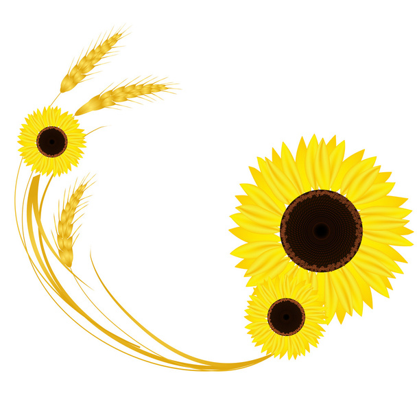 podzimní design s slunečnice a pšenice - Vektor, obrázek