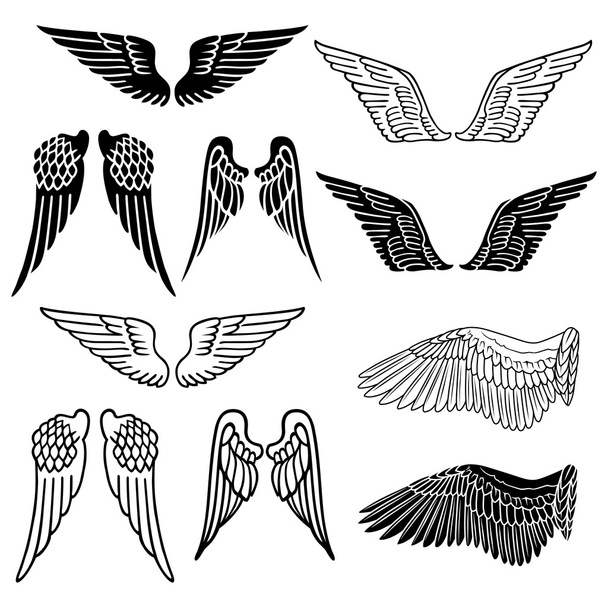Vleugels vogel set - Vector, afbeelding