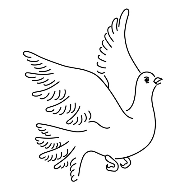 Soaring dove, vector illustration - Vector, Imagen