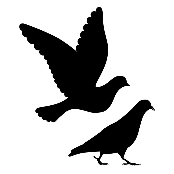 Going & flying pigeons black silhouette - Vektor, Bild