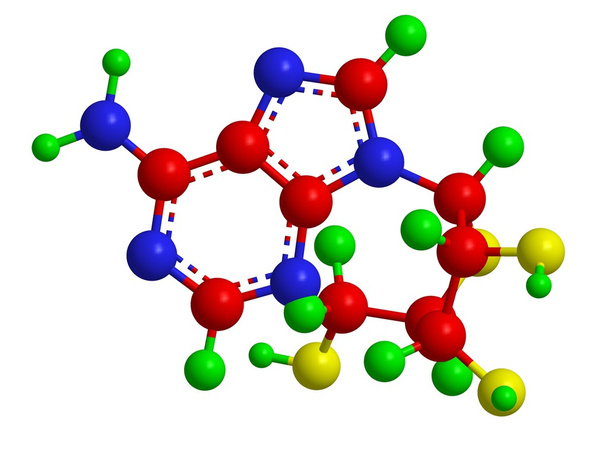 Adenosiinin molekyylirakenne
 - Valokuva, kuva
