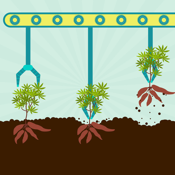 Mechanical harvesting yuccas - Vector, Image