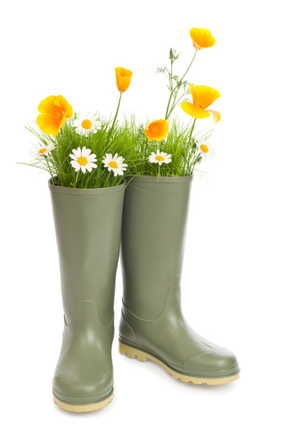 Wellington Boots - Фото, зображення