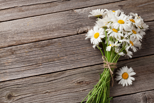 Lindas flores de camomila
  - Foto, Imagem