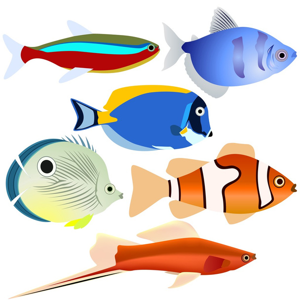 Aquarium fish-1 - Vector, Image