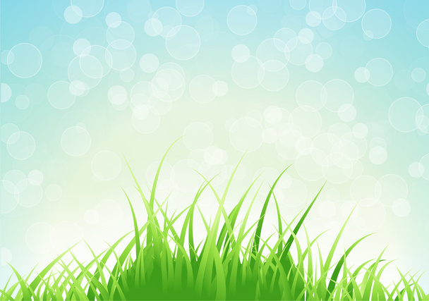 spring background - Vector, Imagen