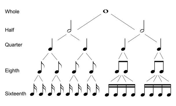 Tipos de notas musicales
 - Vector, imagen