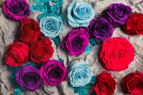 fondo de rosas de color azul, rojo, púrpura
 - Foto, Imagen