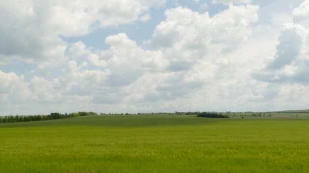 Groene landelijke veld onder bewolkte landschap - Video