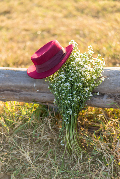 red hat and white flowers on field - Photo, Image