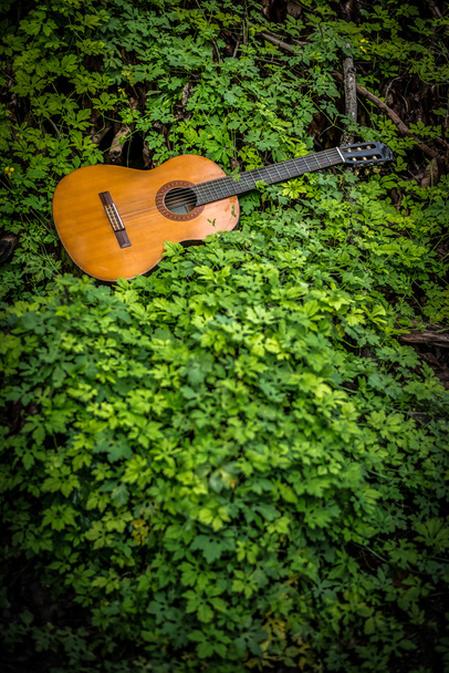 guitarra clásica sobre fondo de madera con hoja verde en tono vintage y estilo de viñeta - Foto, Imagen
