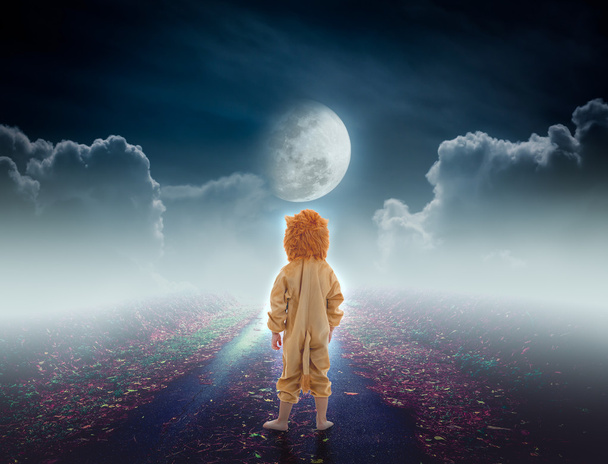 Rückansicht eines wie ein Löwe kostümierten Kindes auf einem Weg mit nächtlichem Himmel - Foto, Bild