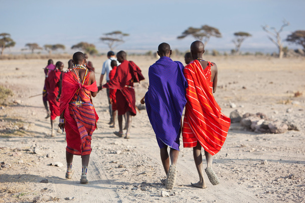 Масайские воины, Кения
 - Фото, изображение