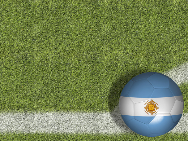 Argentijnse bal in het veld - Foto, afbeelding