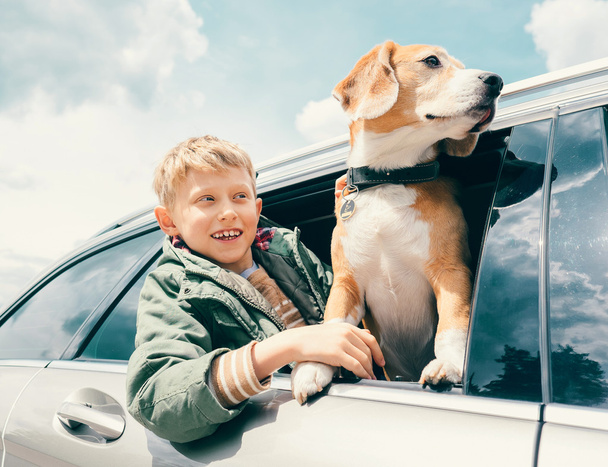 Boy and dog looks out from  window - Foto, Imagen