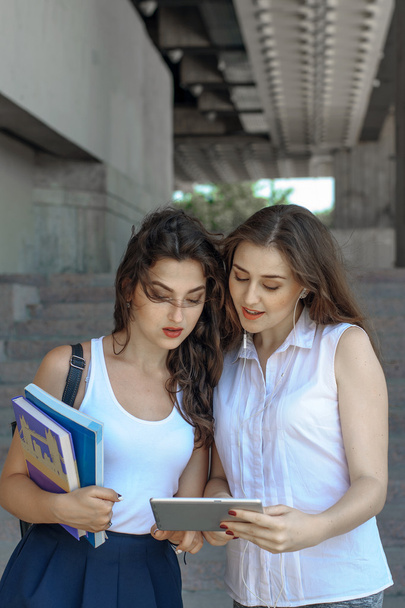 Dois estudantes estão discutindo sobre estudar
 - Foto, Imagem