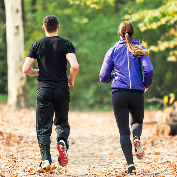 jogging en couple dans le parc forestier
 - Photo, image