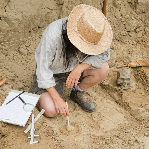 Archéologue au travail avec brosse
  - Photo, image
