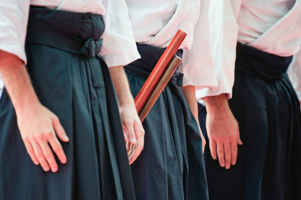 Zarovnaný bojovníci Aikido - Fotografie, Obrázek