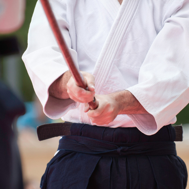 Aikido combattente in posizione
 - Foto, immagini