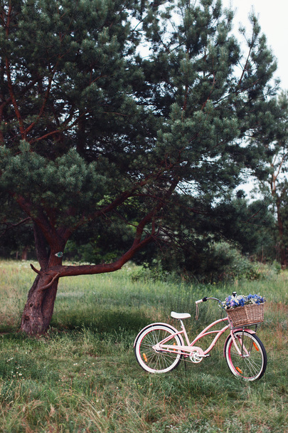 Dames fiets in park - Foto, afbeelding