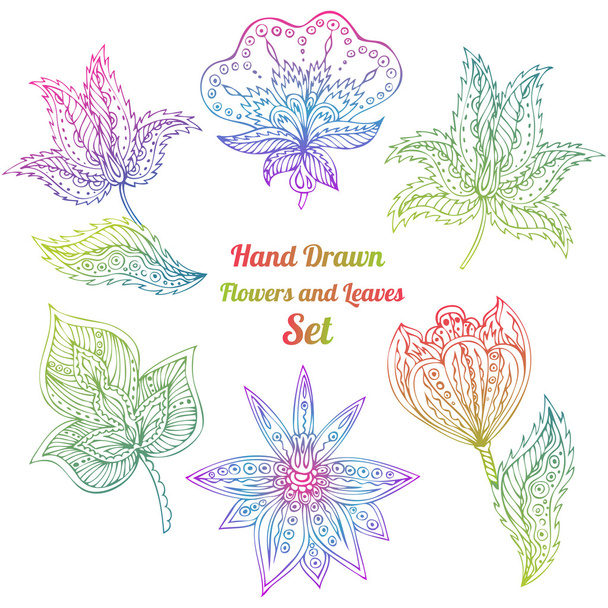 Colorful Line Art Flowers And Leaves - Vector, Image