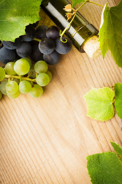 Wine and grape - Foto, Imagem