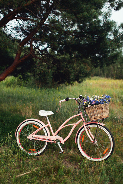 női kerékpár-parkban - Fotó, kép
