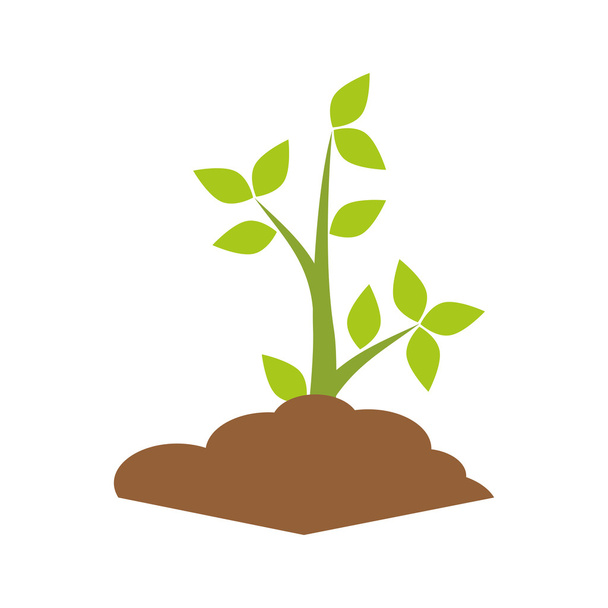 Plant icon. Nature design. Vector graphic - Vector, Image