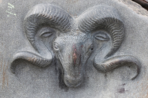 mus-ox face by stone carving - Photo, Image