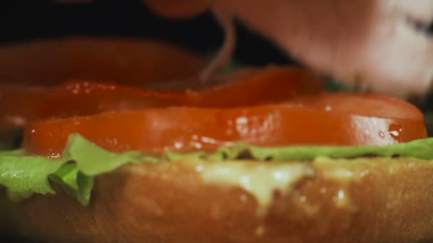 Šéfkuchař umístí kuřecí sendvič - Záběry, video