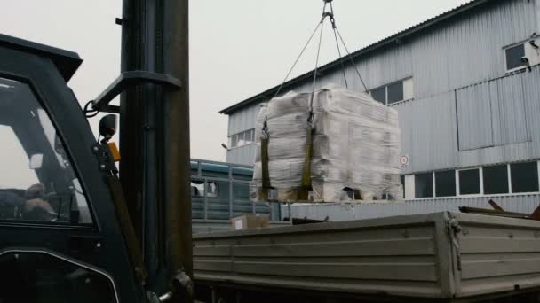 der Gabelstapler nimmt die Ladung vom LKW - Filmmaterial, Video