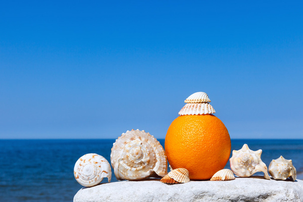 exotic seashells and orange on the background of summer sea. - Fotoğraf, Görsel