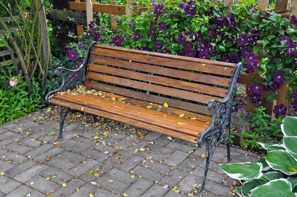 Садовая скамейка и цветы клематис
 - Фото, изображение