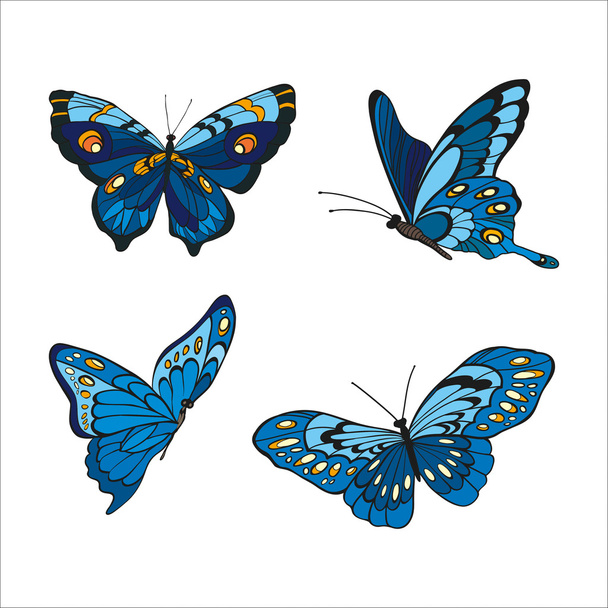 Mariposas azules dibujadas a mano sobre fondo blanco
 - Vector, imagen